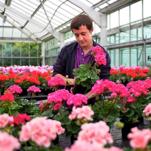 Camelia Botnar Foundation Horticulture Department