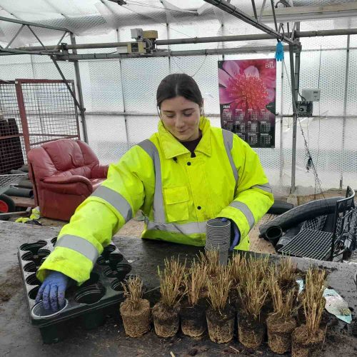 Camelia Botnar Foundation Horticulture Department 04