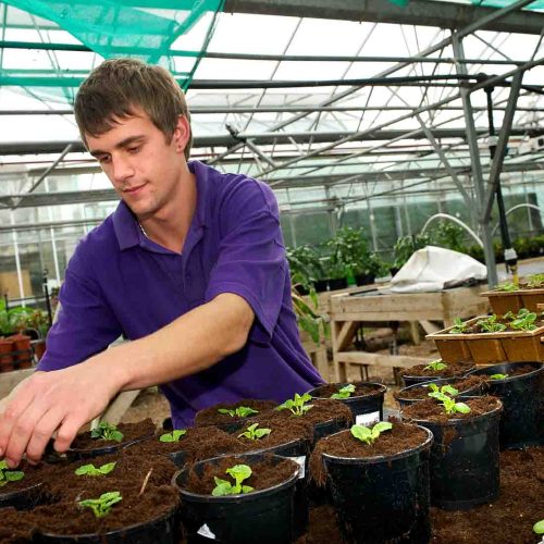 Camelia Botnar Foundation Horticulture Department 042