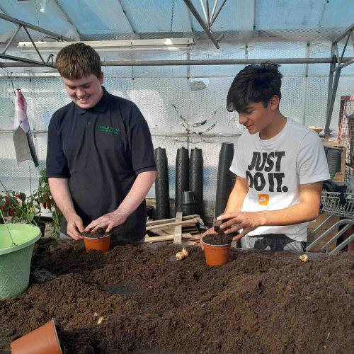 Camelia Botnar Foundation Horticulture Department 06