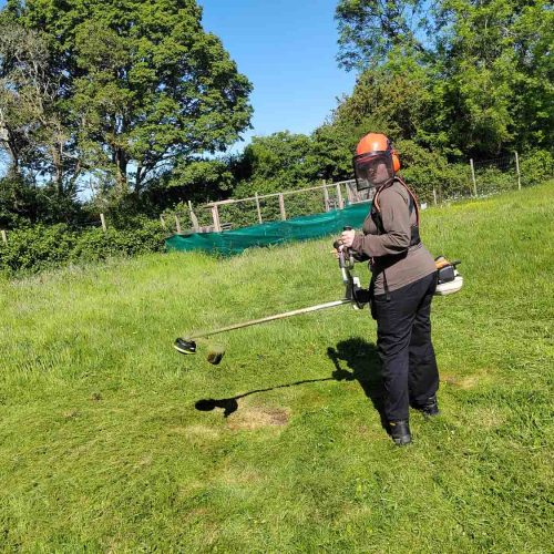 Camelia Botnar Foundation Horticulture Department 101422