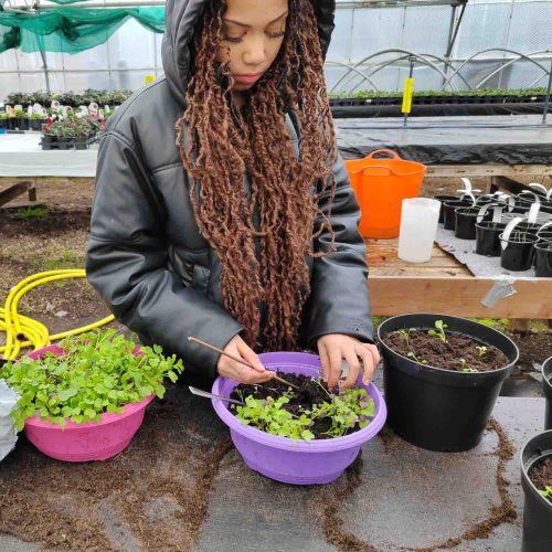 Camelia Botnar Foundation Horticulture Department 12