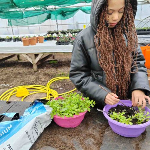 Camelia Botnar Foundation Horticulture Department 134259