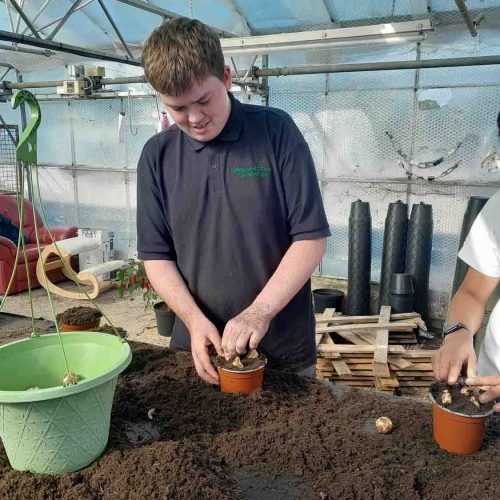 Camelia Botnar Foundation Horticulture Department 144951