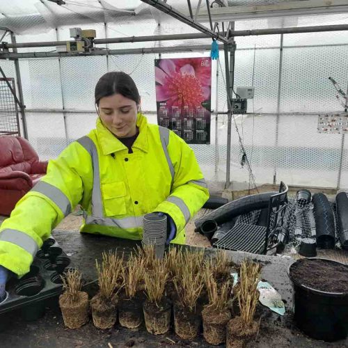 Camelia Botnar Foundation Horticulture Department 161640