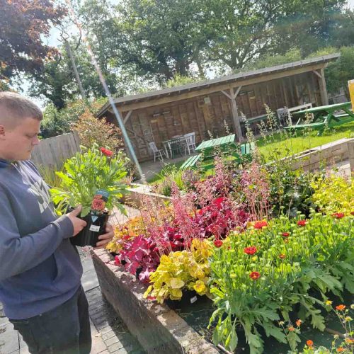 Camelia Botnar Foundation Horticulture Department 18360