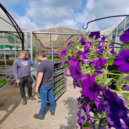 Camelia Botnar Foundation Horticulture Department 18367