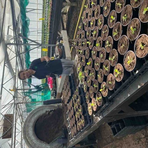 Camelia Botnar Foundation Horticulture Department 2