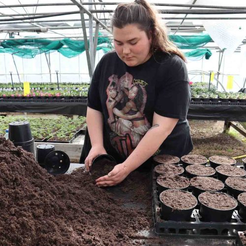 Camelia Botnar Foundation Horticulture Department 2