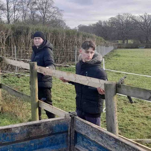 Camelia Botnar Foundation Estate Maintenance Department 093927