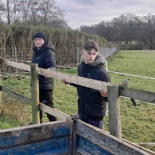 Camelia Botnar Foundation Estate Maintenance Department 093927