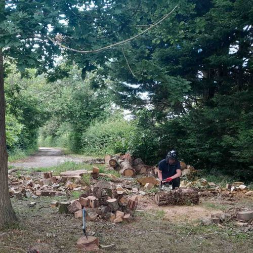 Camelia Botnar Foundation Estate Maintenance Department 121854