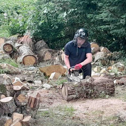 Camelia Botnar Foundation Estate Maintenance Department 121858