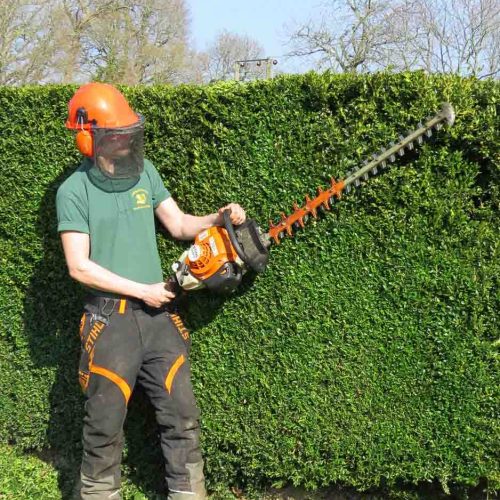 Camelia Botnar Foundation Estate Maintenance Department 2