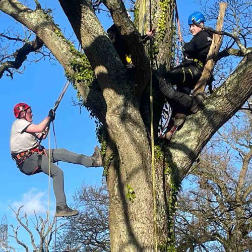 Camelia Botnar Foundation Estate Maintenance Department 4