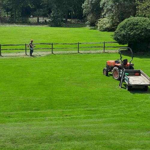 Camelia Botnar Foundation Estate Maintenance Department 477