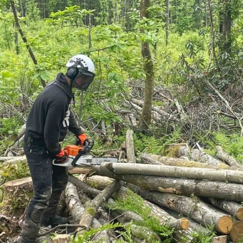 Camelia Botnar Foundation Estate Maintenance Department 9